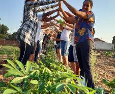 O projeto "Agrofloresta na escola