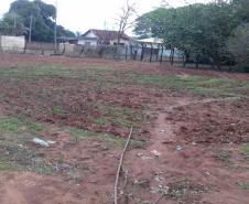 O projeto "Agrofloresta na escola