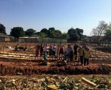 O projeto "Agrofloresta na escola