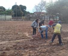 O projeto "Agrofloresta na escola