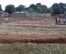 O projeto "Agrofloresta na escola