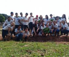 O projeto "Agrofloresta na escola