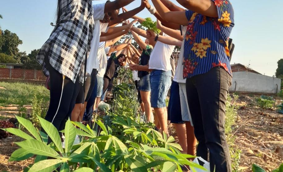 O projeto "Agrofloresta na escola O projeto "Agrofloresta na escola