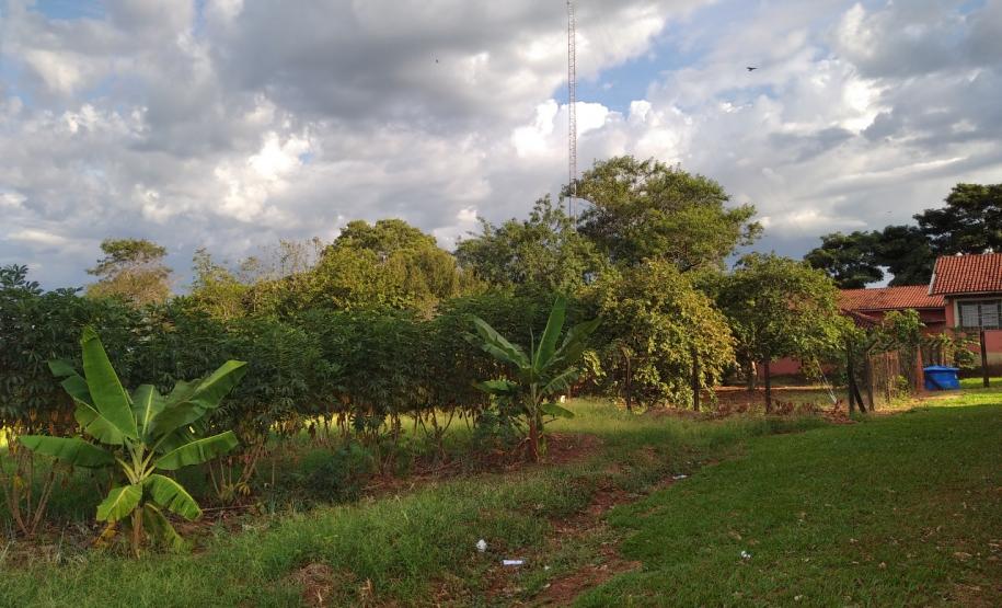 O projeto "Agrofloresta na escola O projeto "Agrofloresta na escola