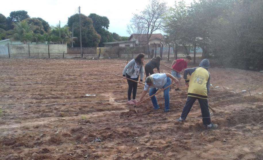 O projeto "Agrofloresta na escola O projeto "Agrofloresta na escola
