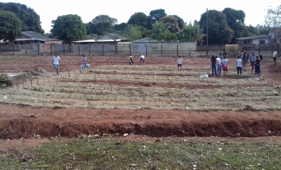 O projeto "Agrofloresta na escola O projeto "Agrofloresta na escola
